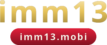 imm13 logo
